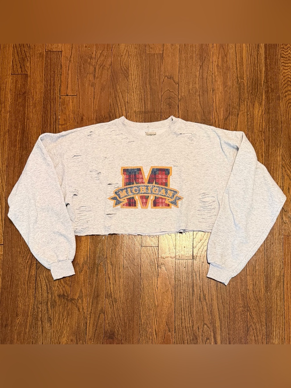 Michigan Wolverines Distressed Cropped Sweatshirt Gray Oversized No Size Tag L